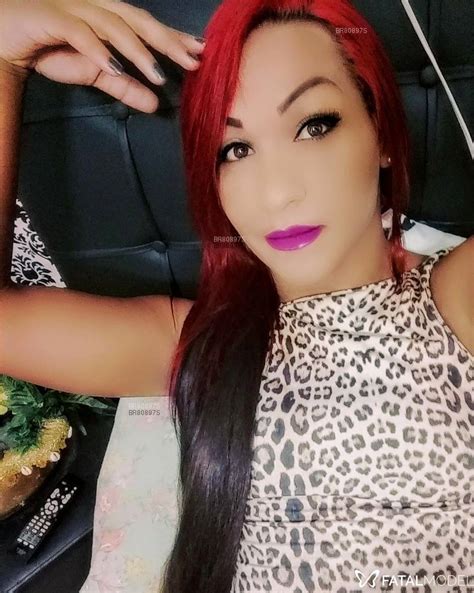 travesti de programa caraguatatuba|Travestis ou transex Caraguatatuba (SP)